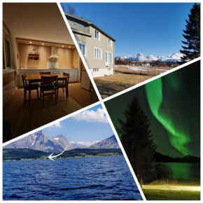 Arctic Cabin Lyngen